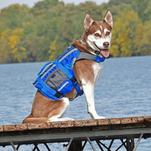 Load image into Gallery viewer, Image of a dog wearing a Bluestorm Dog Paddler foam dog life jacket on a dock