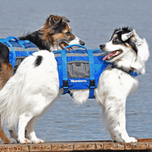 Load image into Gallery viewer, Image of two dogs wearing Bluestorm Dog Paddler foam dog life jackets on a dock